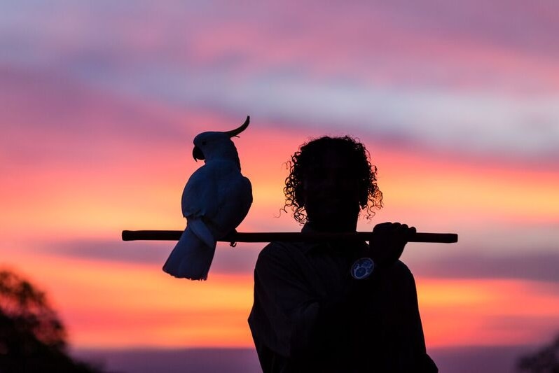 A cockatoo and a man silhouetted against the sunrise.