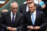 Prime Minister Tony Abbott speaks to Communications Minister Malcolm Turnbull
