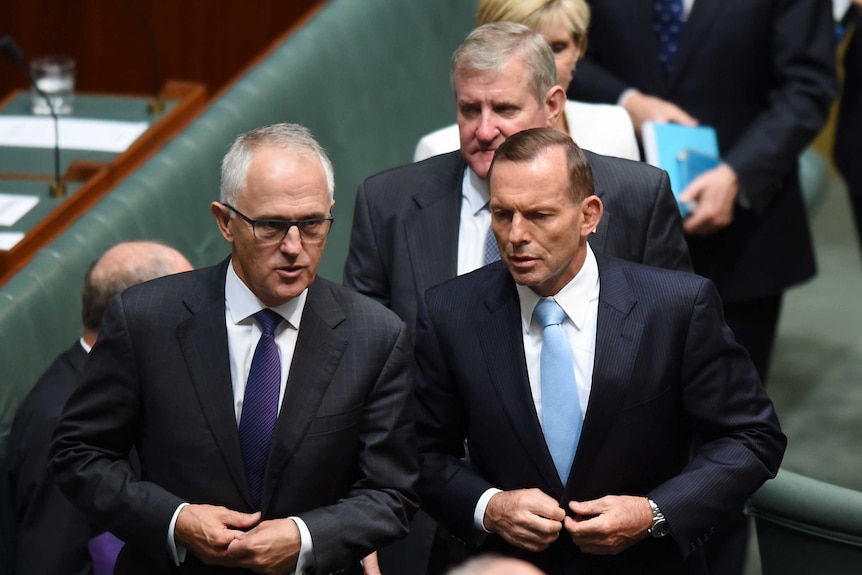 Prime Minister Tony Abbott speaks to Communications Minister Malcolm Turnbull