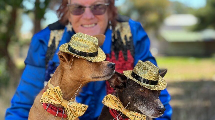 A woman brightly dressed with two small dogs wearing gold hats and bows