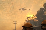 Country Fire Authority firefighters wait for the fire to reach their defence line