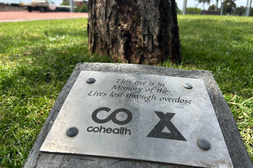 A silver plaque in front of a tree reads 'This tree is in Memory of the Lives lost through overdose'.