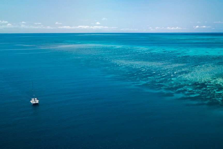 an aerial photo of a catamaran in the deep blue ocean at the great barrier reef with nobody else around