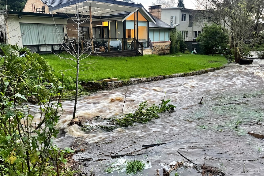 Water flooded creekbed and backyard of a house
