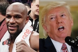 Composite of Floyd Mayweather and Donald Trump