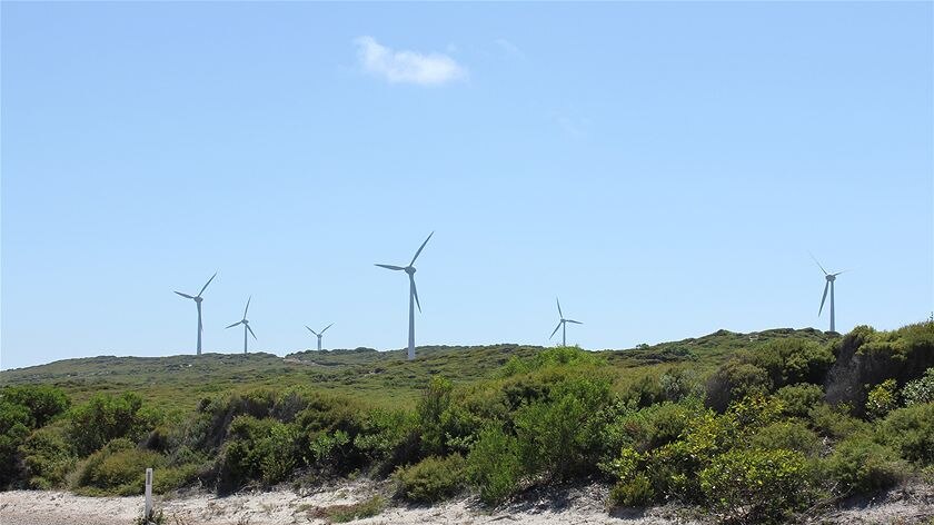 Wind turbines in Esperance