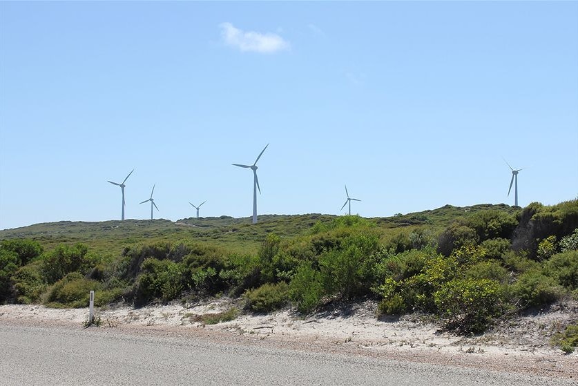 Wind turbines in Esperance