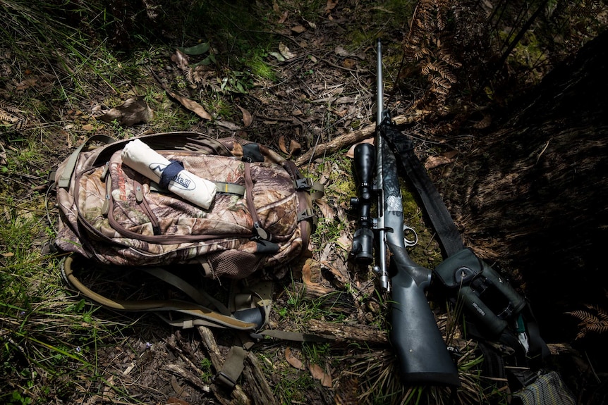 A hunter's rifle, backpack and meat bags