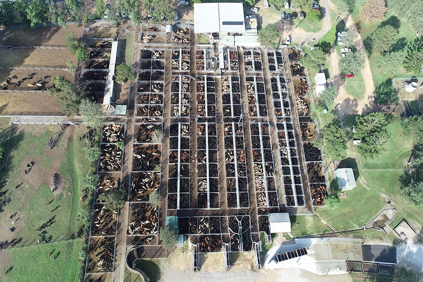A drone photo of the saleyards in Grafton.
