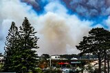 Tall plumes of white and dark blue smoke seen rising above houses and trees on top of a hill at Bermagui in NSW