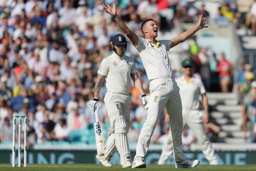Josh Hazlewood looks exasperated as he appeals to the umpire.