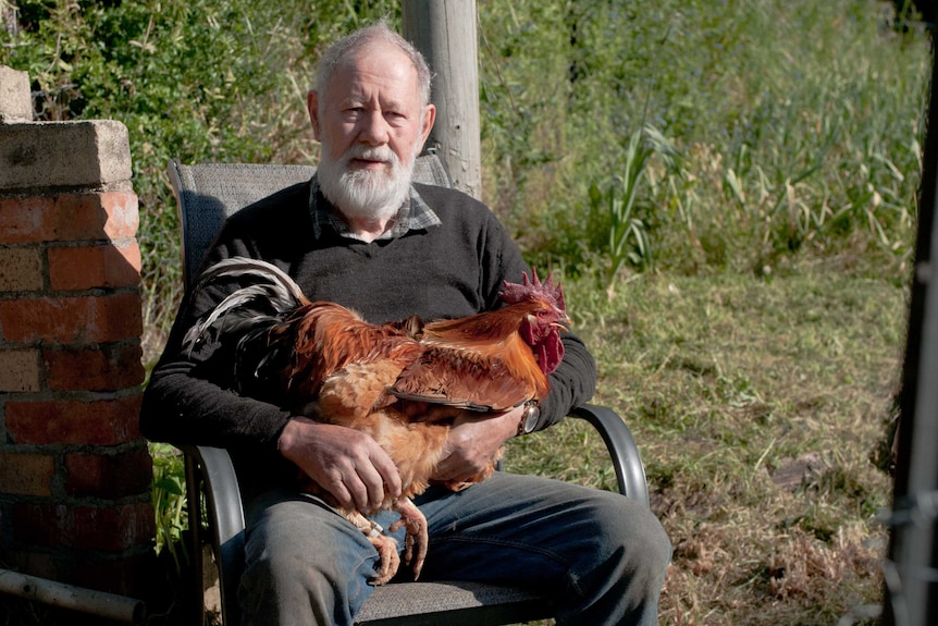 Dr Gil Stokes sitting with his Quamby chook on his lap.