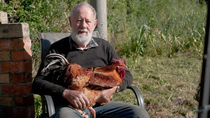 Dr Gil Stokes sitting with his Quamby chook on his lap.