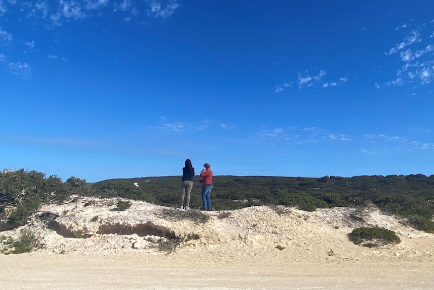 Two people standing on a rise overlooking deep green bush vegetation