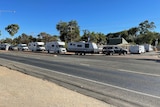 Seven caravans and campervans line up waiting to enter a caravan park in Alice Springs.