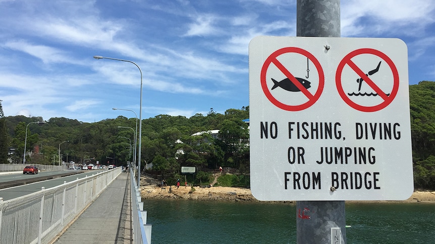 A sign forbids jumping or diving from Tallebudgera Creek Bridge