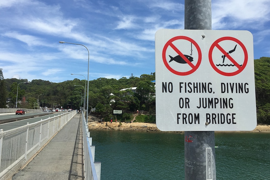 A sign forbids jumping or diving from Tallebudgera Creek Bridge