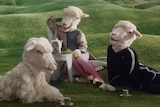 Three people dressed as sheep wearing wool and sheep heading at a picnic with green hills in behind.
