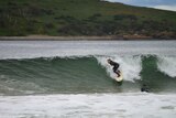 Brooke Mason surfing on Hobart's South Arm