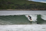 Brooke Mason surfing on Hobart's South Arm
