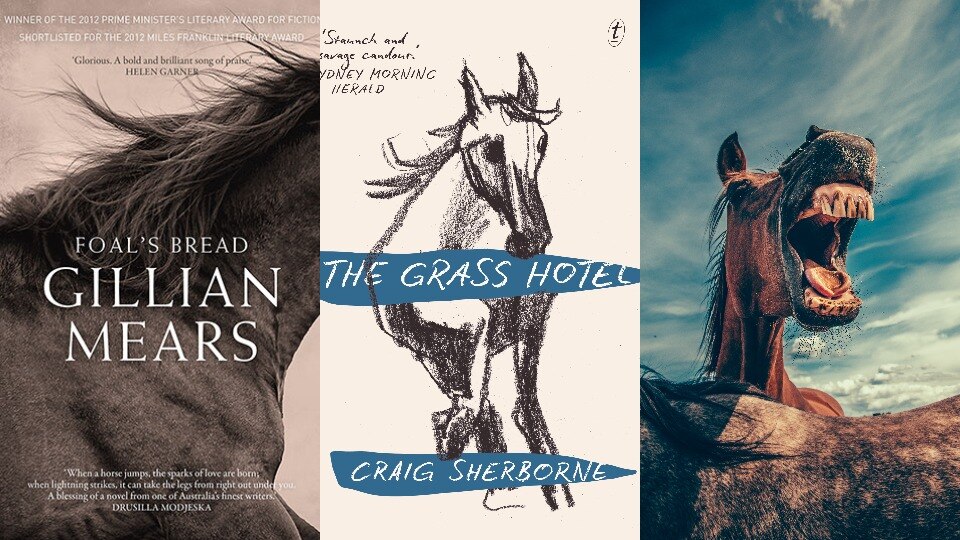 The Book Club: Horses and their Riders