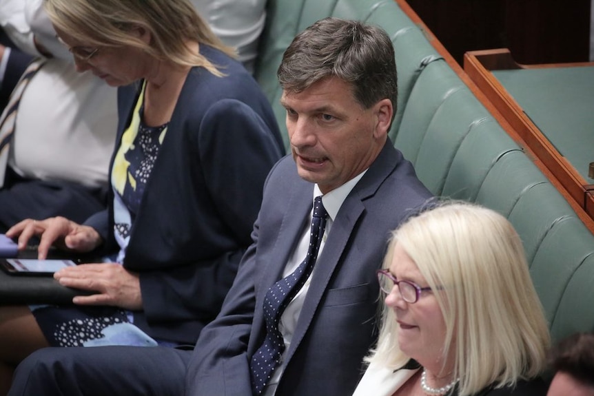 Angus Taylor sits on the frontbench looking towards the Opposition