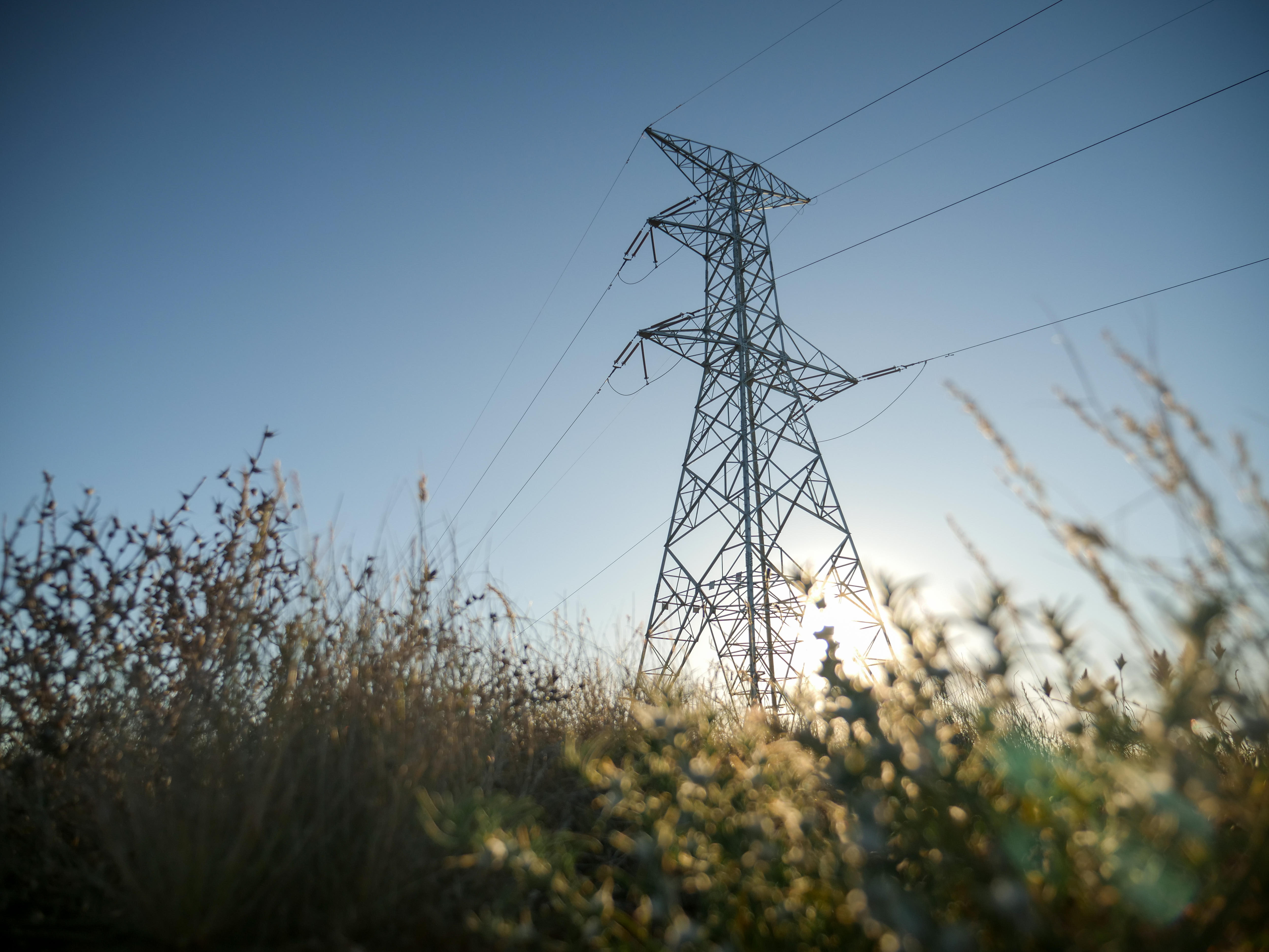 Wide angle picture looking up through long grasses to a high-voltage power line with the sun setting in the background