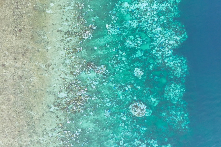 A drone image of coral formations on the Great Barrier Reef