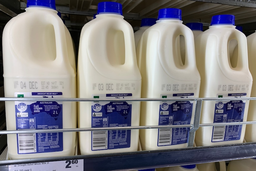 Two litre bottles of Woolworths homebrand milk in supermarket fridge