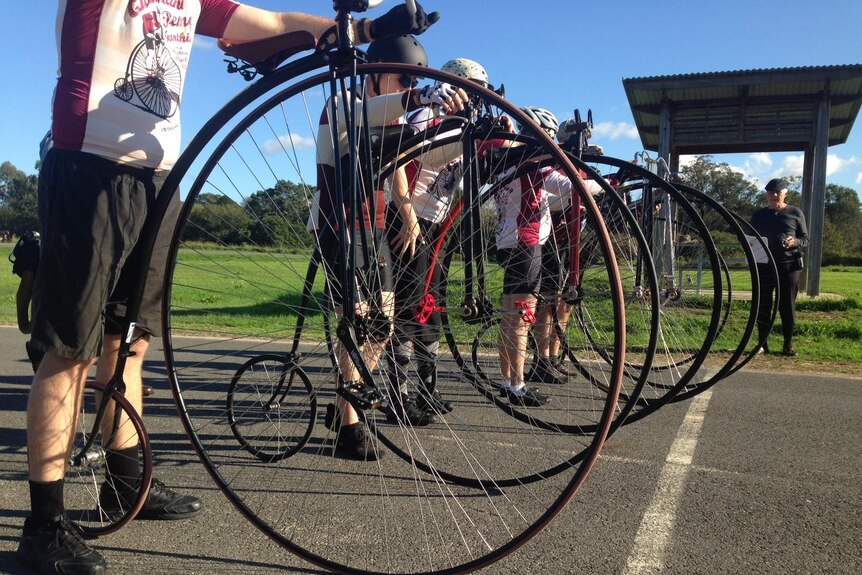 Competitors from the Queensland Penny-Farthing Championships