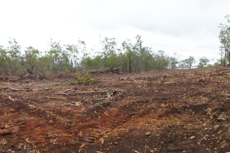 Wide shot of land clearing on central Queensland property