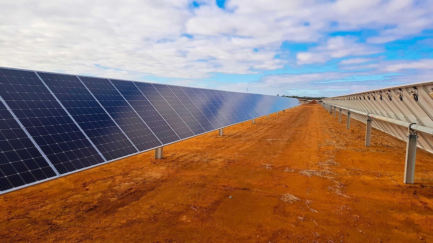 A line of solar panels contrasted with red dirt