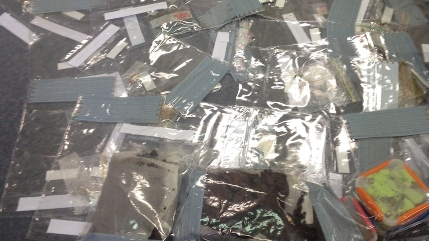 Police were shocked by the amount of drugs found at the Dragon Dreaming Festival at Wee Jasper.