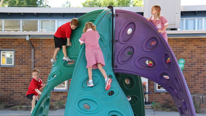 Two sets of twins climb on play equipment.