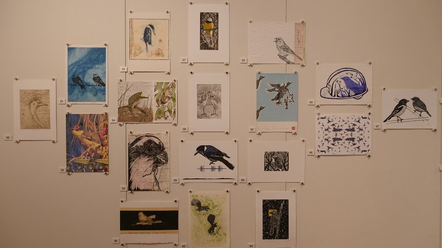 Print artworks of birds, hanging on a wall