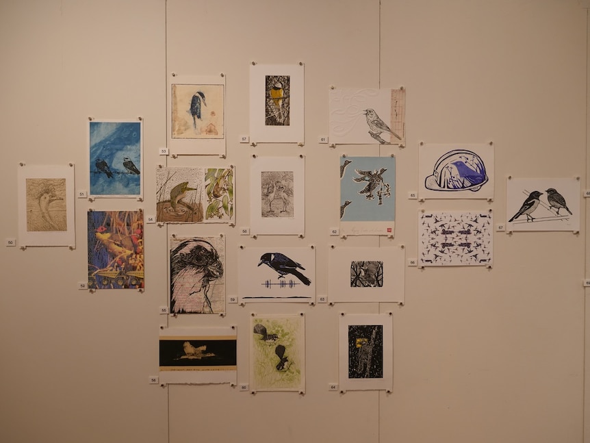 Print artworks of birds, hanging on a wall