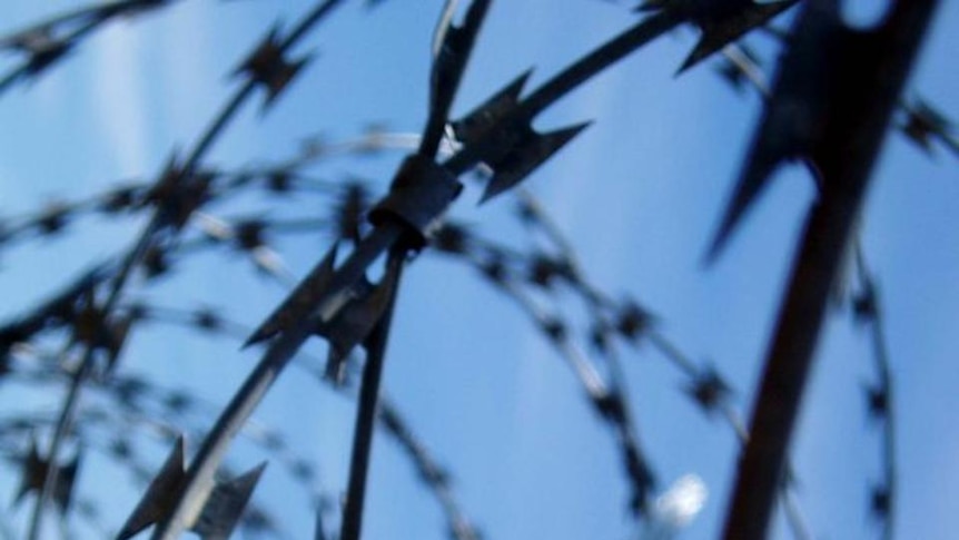 Razor wire sits atop a security fence