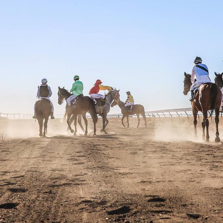 Cavalos de corrida em pista de terra.