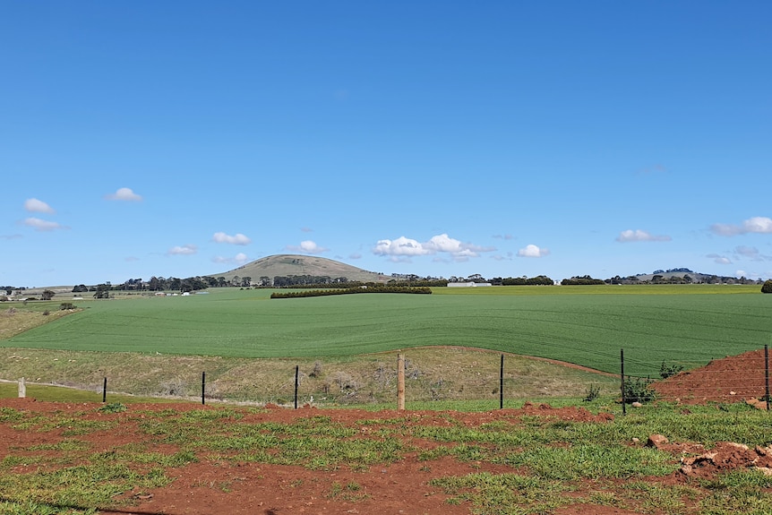 Rolling hills and farmland