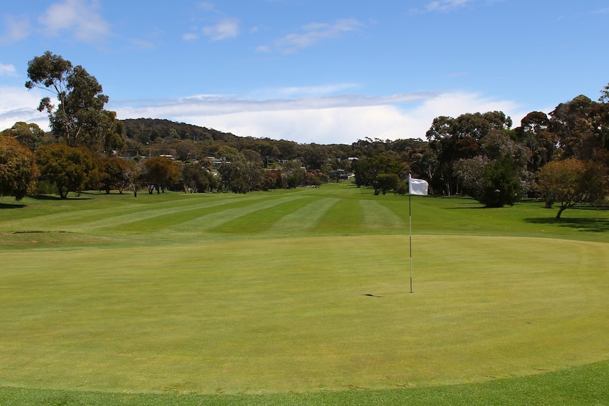 A golfing green with fairway in background.