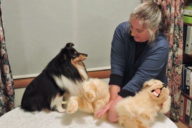 Cathy Nunn with her dog