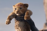 Colour close-up still of animated young lion cub Simba being held up in 2019 animated feature film The Lion King.