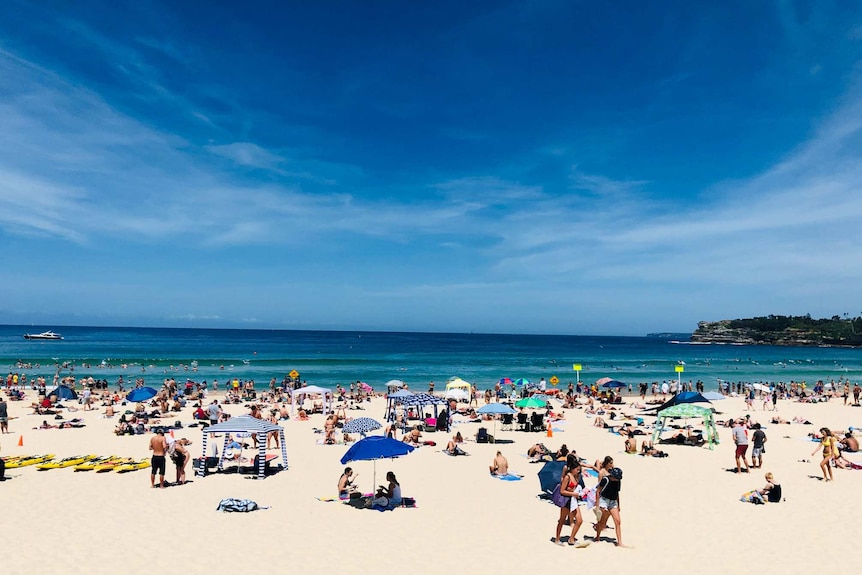 A busy Sydney beach on a clear blue day, with lots of colourful umbrellas and people.