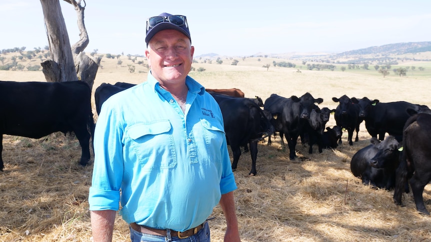 Jon Wright standing in his paddock under a tree smiling, with black and brown cows behind him