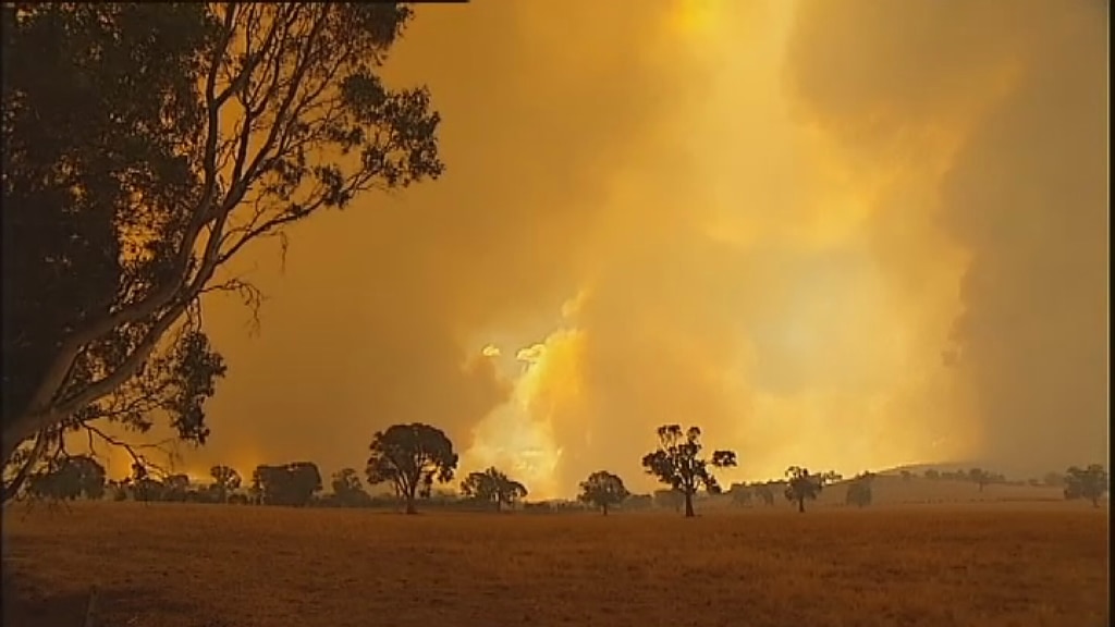 Grampians Fire Flares Up Following Change - ABC News