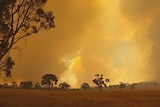 Bushfire that threatened Mirranatwa, Vic