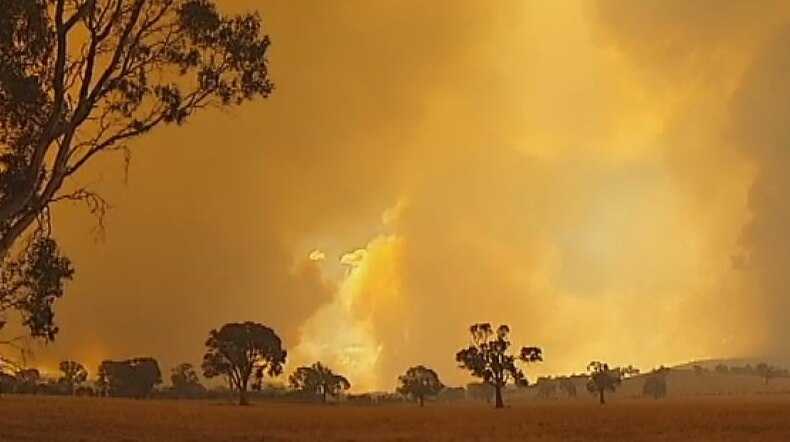 Bushfire that threatened Mirranatwa, Vic
