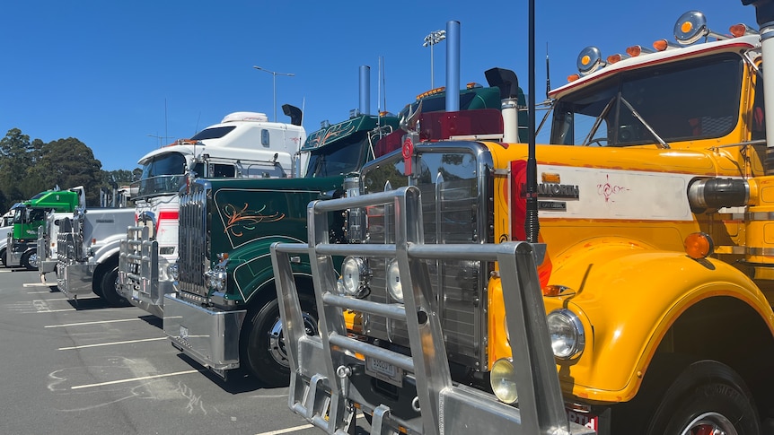 A row of parked trucks