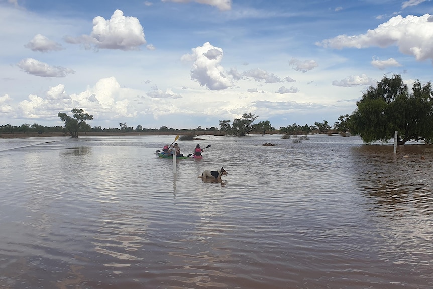 A family paddles through peaceful flood waters, followed by a dog.