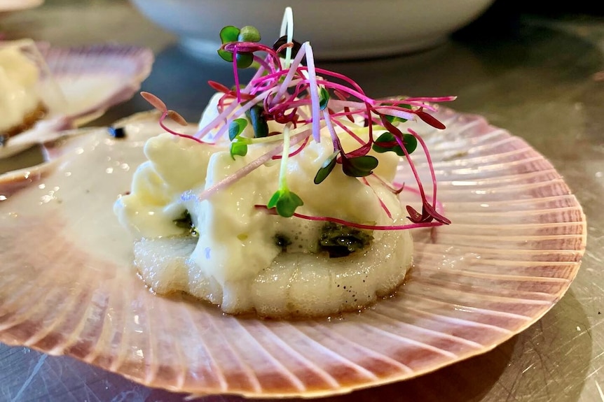 A scallop rests on its shell, covered in a light sauce with a purple garnish.